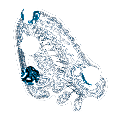 adayinasia202210191619_combi20221019