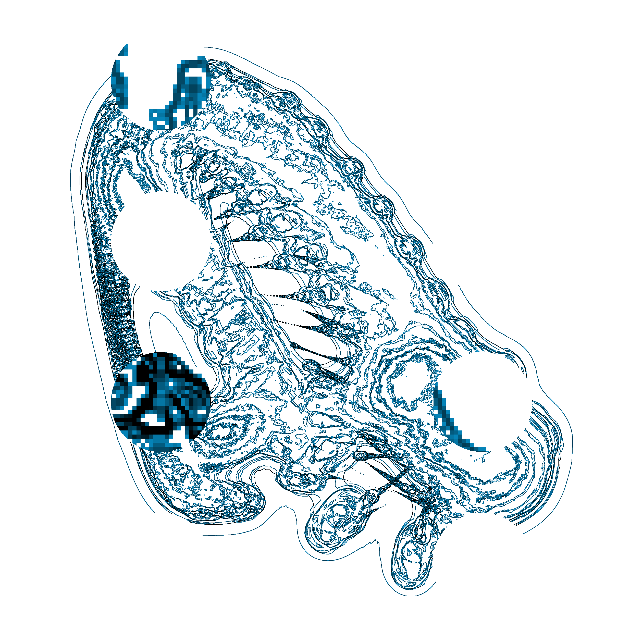 A Day in Asia 202210191619 Compound Microscope version