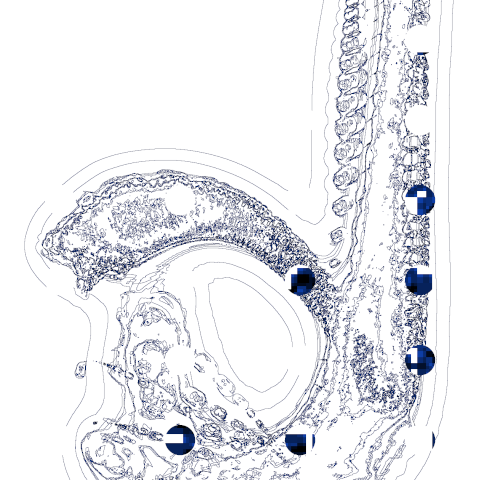 adayinasia202210241543_combi20221024