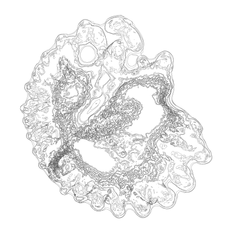 adayinasia202211070406_combi20221103